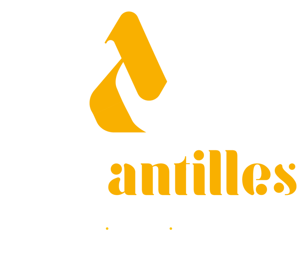 logo digiantilles