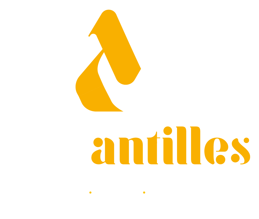 logo digiantilles